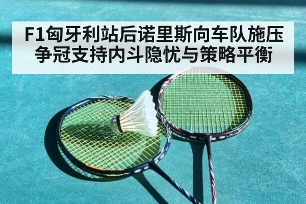 F1匈牙利站后诺里斯向车队施压争冠支持内斗隐忧与策略平衡